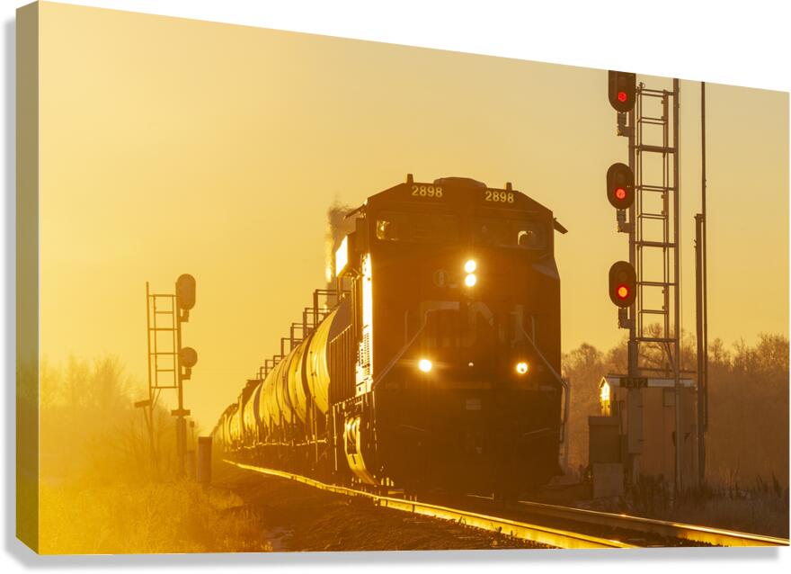 Passing the Rail Signal Canvas Print