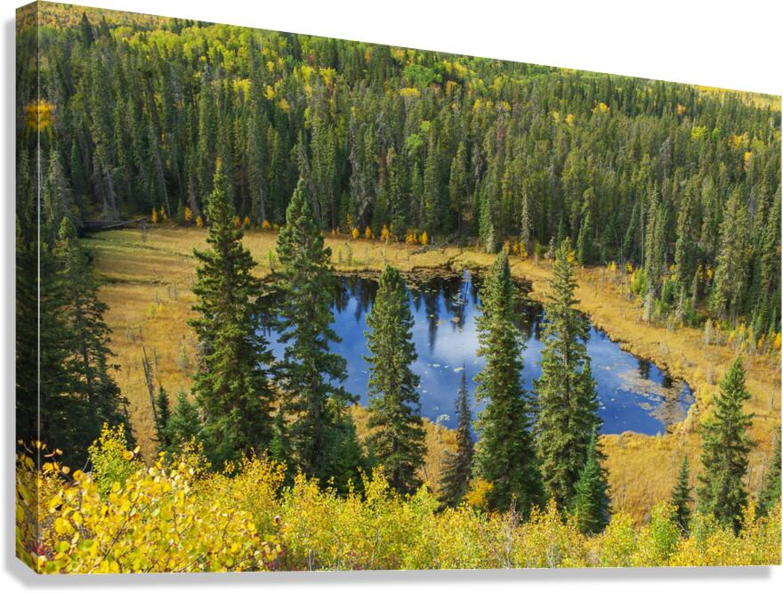 Boggy Lake Canvas Print