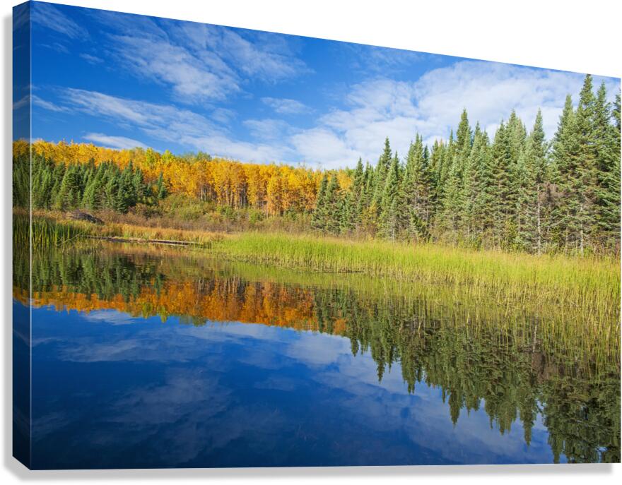 Autumn Colours Along Lake Canvas Print
