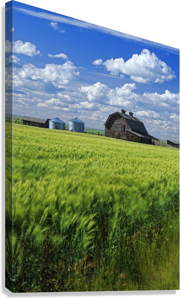 Abandoned Farm Canvas Print