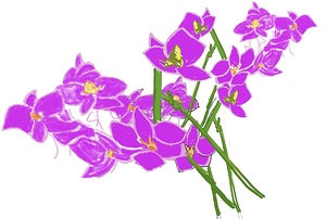 Purple Flowers 