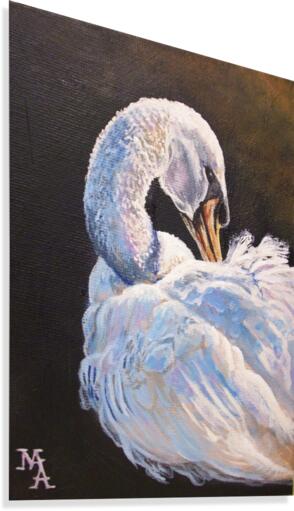Elegance Canvas Print