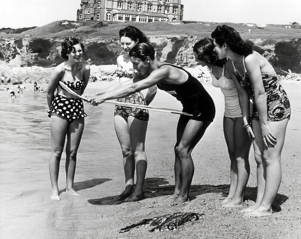 Vintage SURFING PHOTO - Black and White by Surf Posters