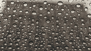 Rain Drops