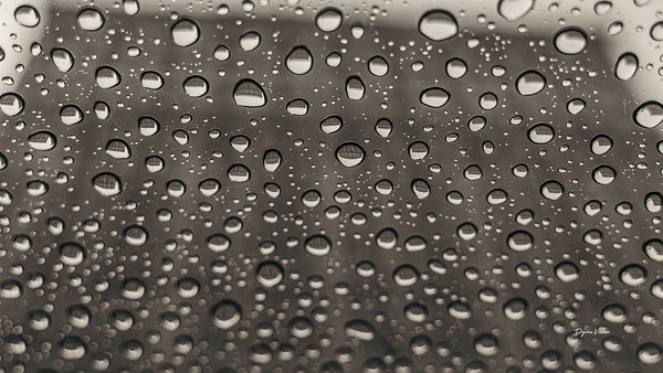 Rain Drops Print