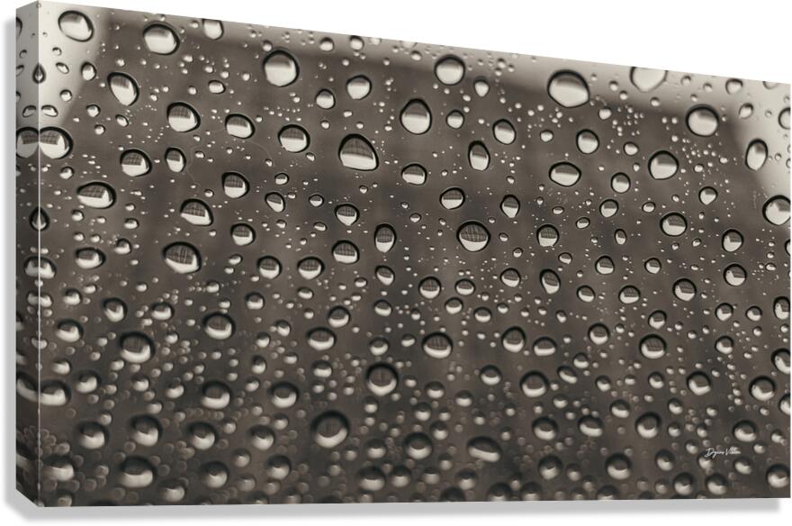 Rain Drops Canvas Print