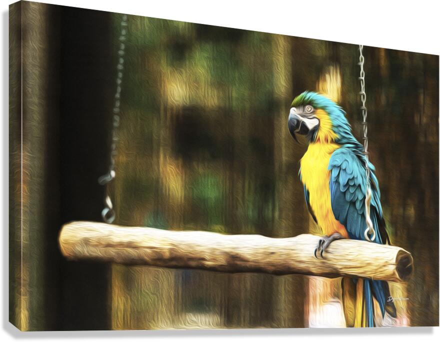 ARTISTIC EXPRESSION 11 Canvas Print