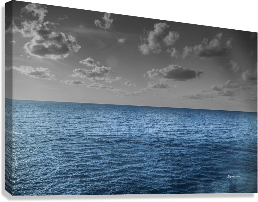Two Tone Canvas Print