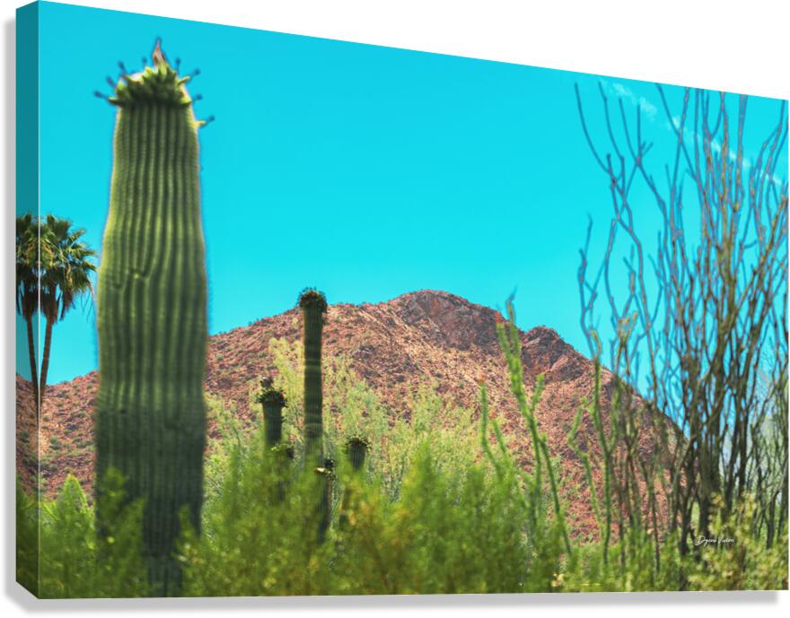 ARTISTIC EXPRESSION 07 Canvas Print