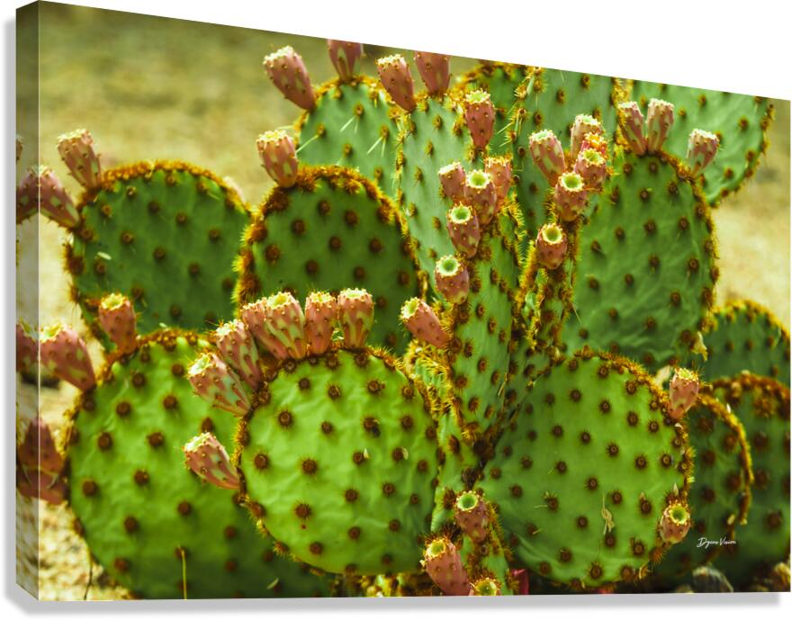 ARTISTIC EXPRESSION 06 Canvas Print