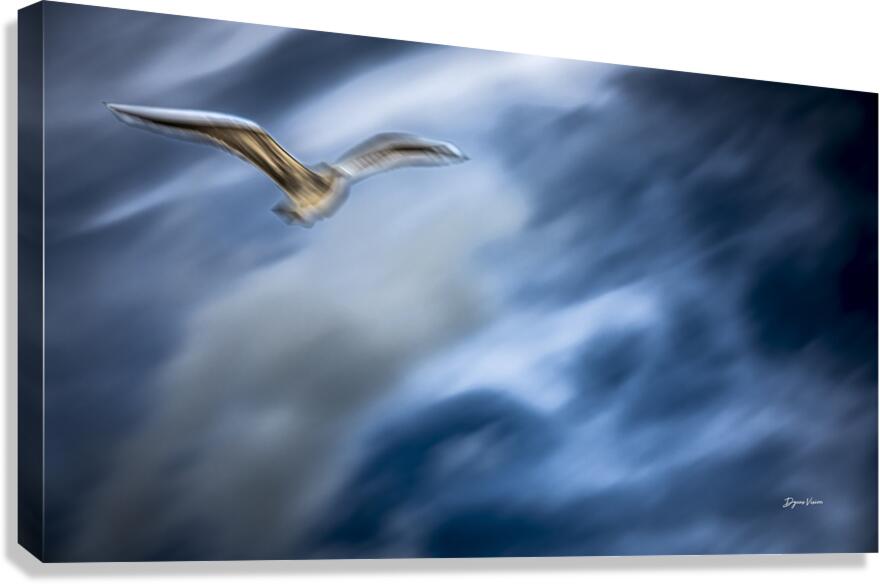 ARTISTIC EXPRESSION 13 Canvas Print
