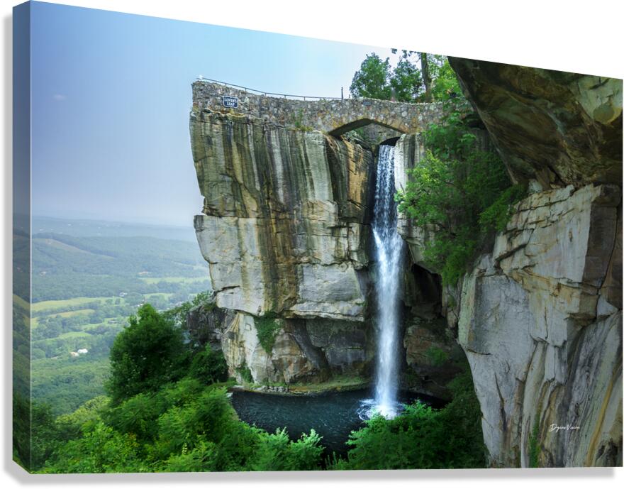 ARTISTIC EXPRESSION 20 Canvas Print