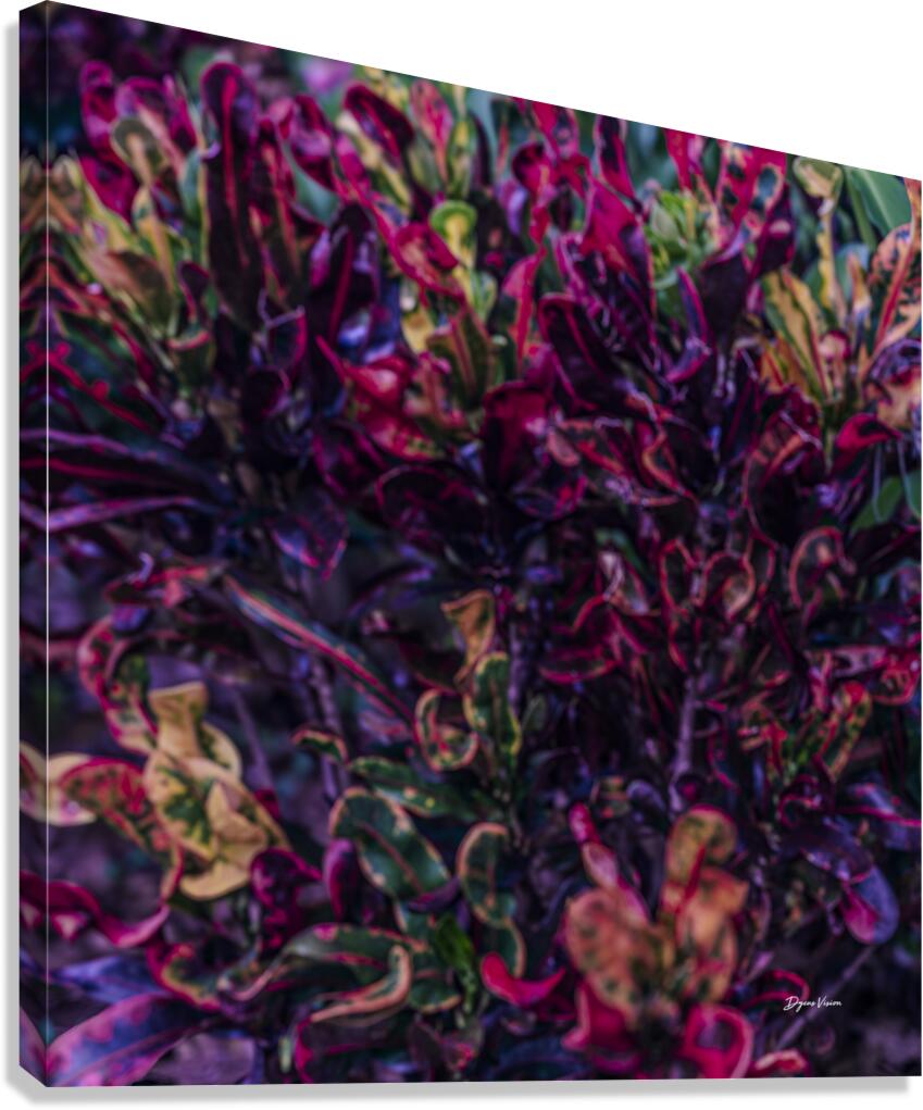 ARTISTIC EXPRESSION 24 Canvas Print