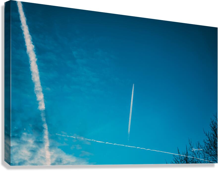 LOOK UP 2 Canvas Print