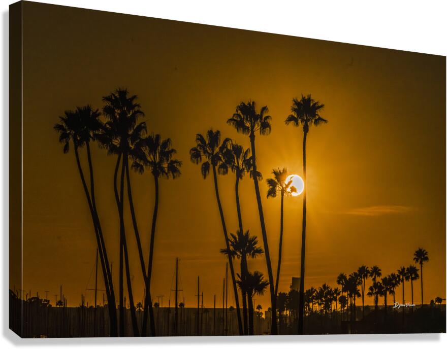 Ever Present Canvas Print