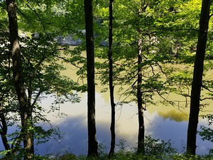 Reflections