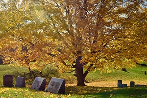 Ovid Cemetery in Autumn