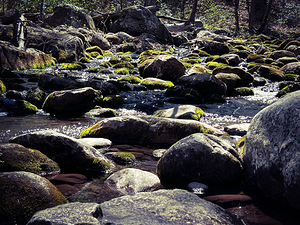 Spring in the mountains