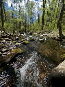 Mountain Stream
