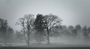 Old Gravesite on a foggy morning