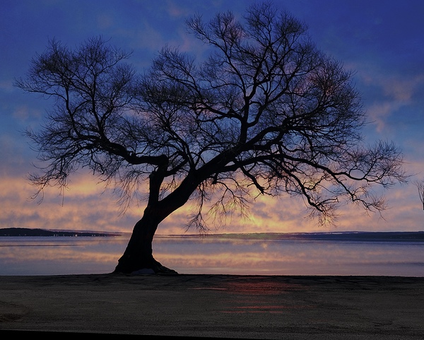 Lakeside in Geneva Print