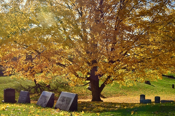 Ovid Cemetery in Autumn by Sheela Balcome