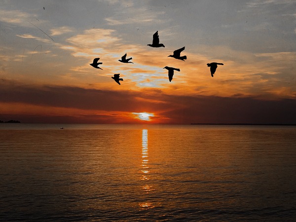 Autumn Evening at Lake Ontario by Sheela Balcome