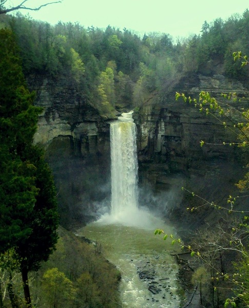 Taughannock after the rain by Sheela Balcome