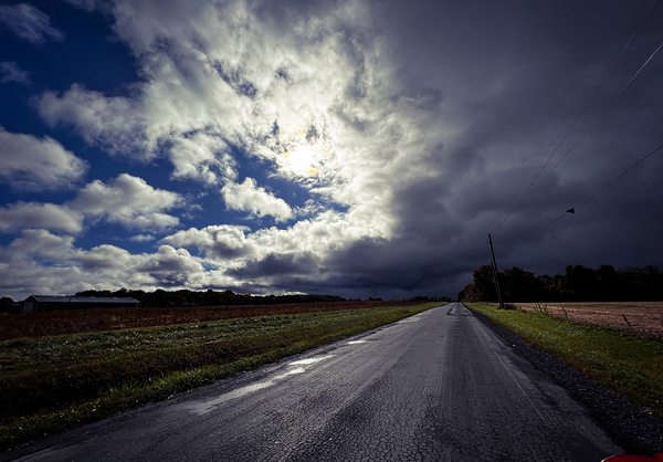 Into the Storm by Sheela Balcome