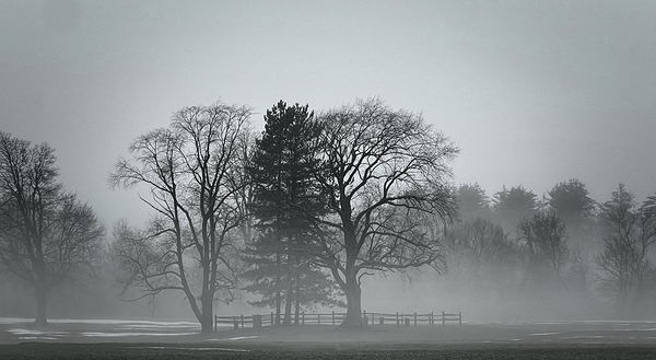 Old Gravesite on a foggy morning by Sheela Balcome