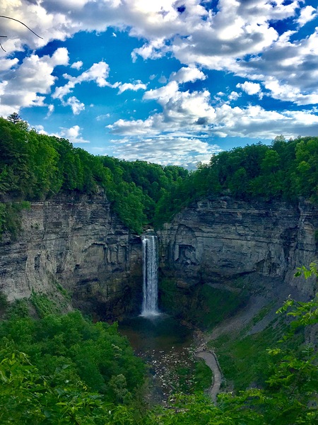 Taughannock in June by Sheela Balcome