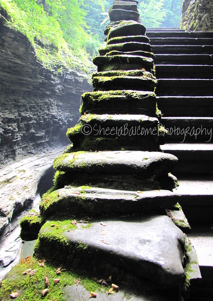Stairway at Watkins  by Sheela Balcome