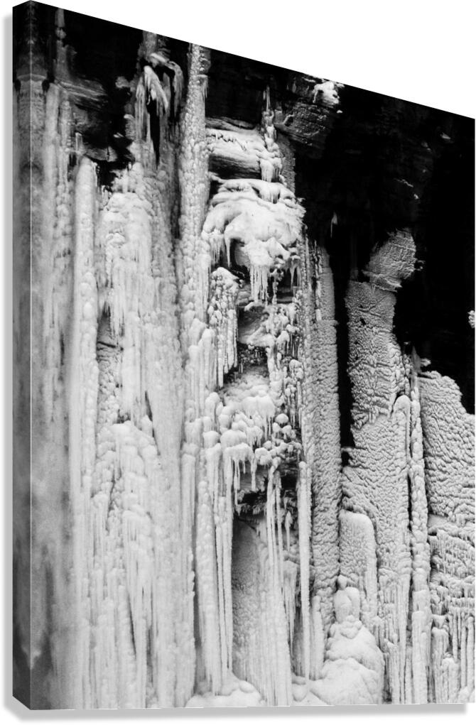 iceman Canvas Print