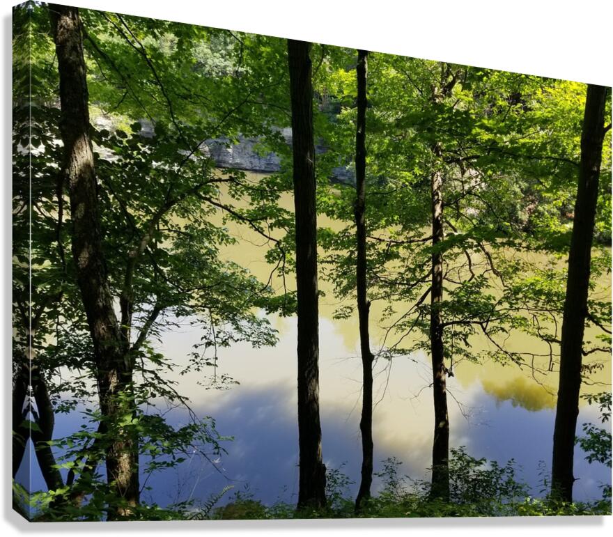 Reflections Canvas Print