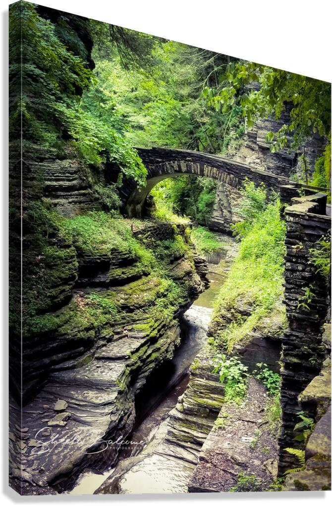 Treman Bridge Canvas Print