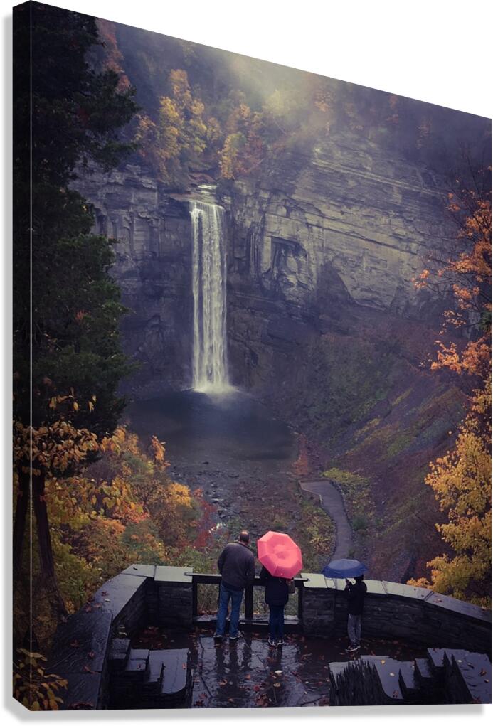Rainy Day at the Falls Canvas Print