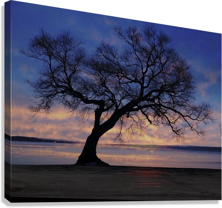 Lakeside in Geneva Canvas Print