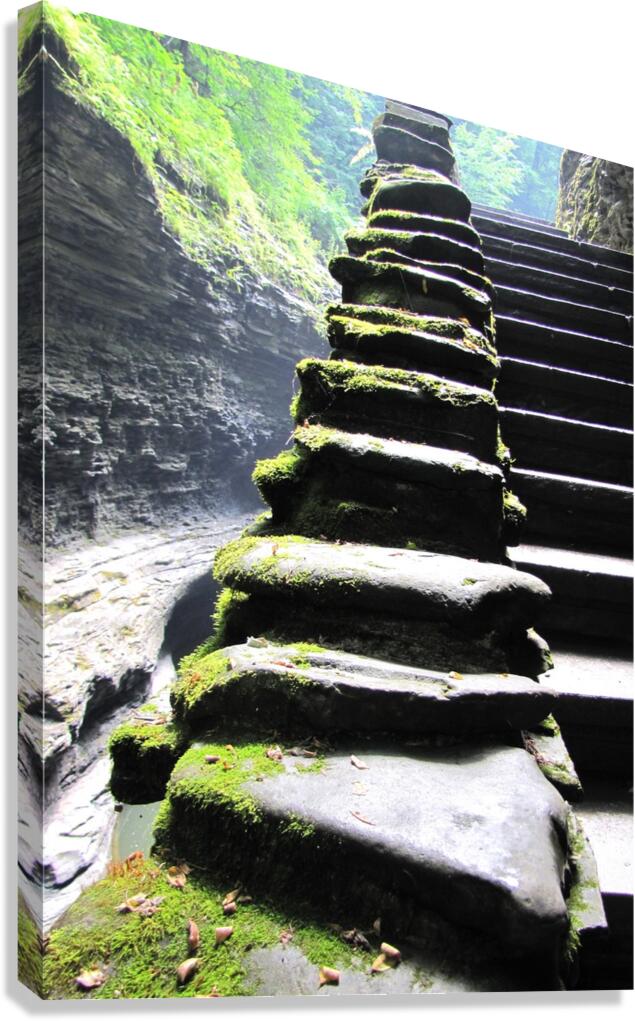 Stairway at Watkins Canvas Print