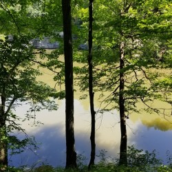 Reflections