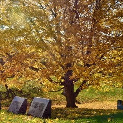 Ovid Cemetery in Autumn