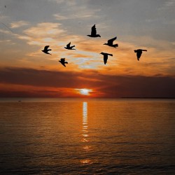 Autumn Evening at Lake Ontario