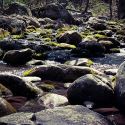 Spring in the mountains