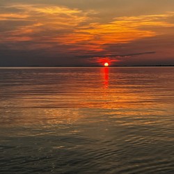 IMG 4612