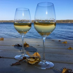 Perfectly Finger Lakes