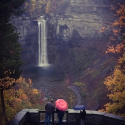 Rainy Day at the Falls