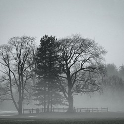 Old Gravesite on a foggy morning