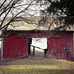 Empty barn