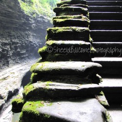 Stairway at Watkins 
