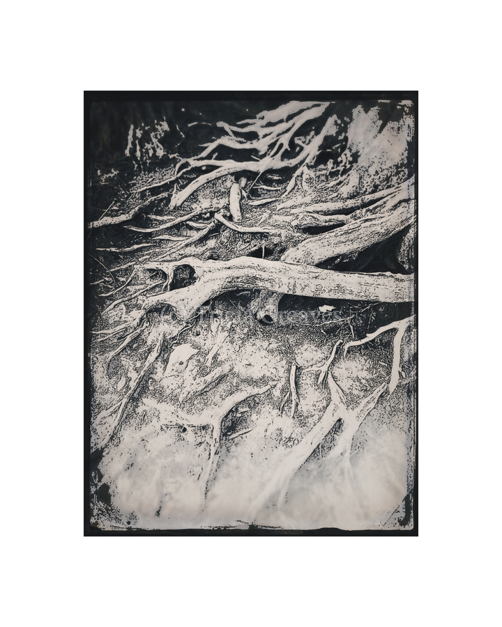 Photos to Canvas