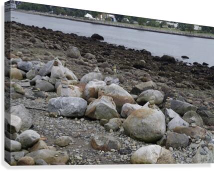 Inukshuk 2 Canvas Print